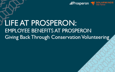 Giving Back Through Volunteering